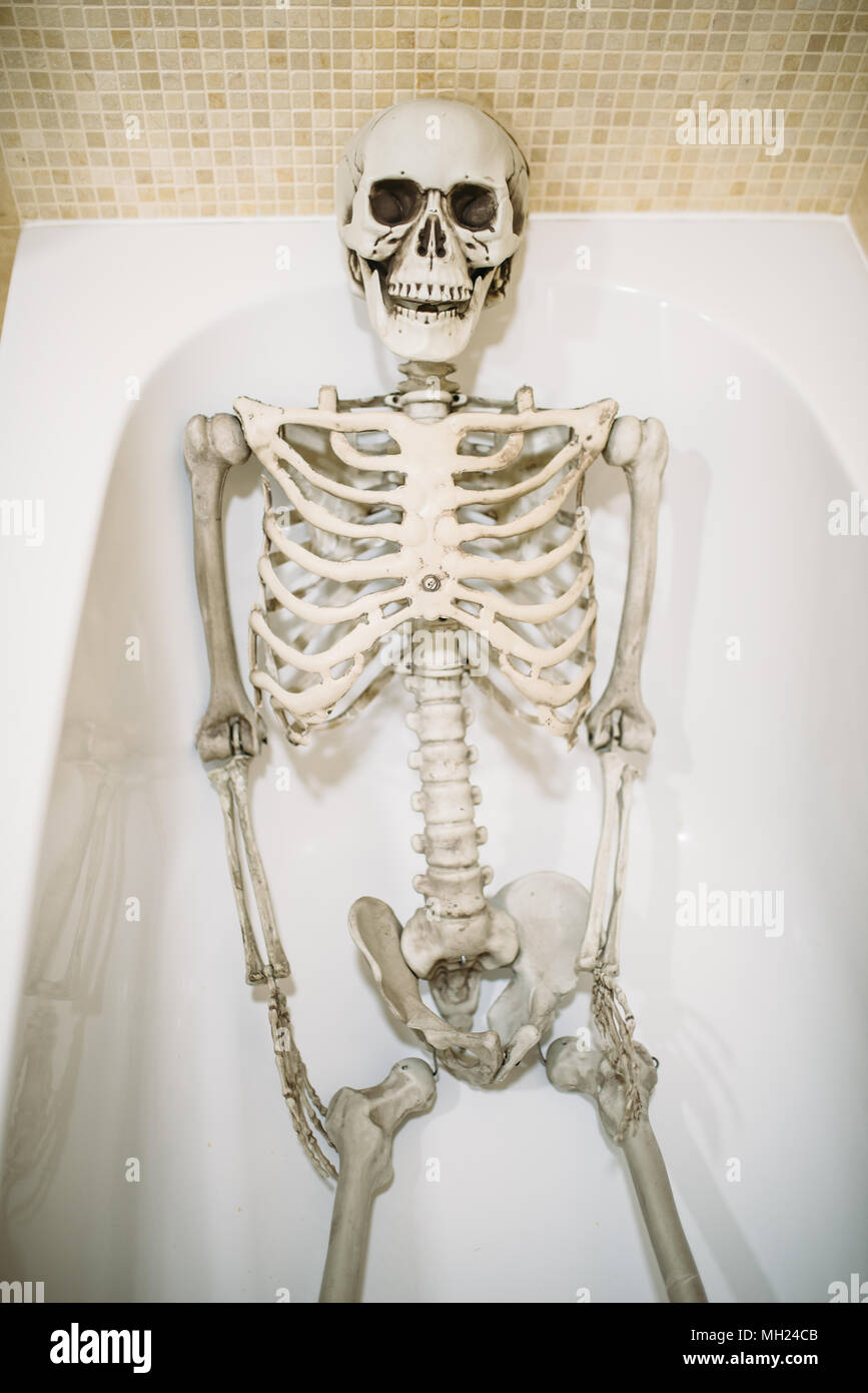 Anatomy funny hi-res stock photography and images - Alamy Anatomy funny hi-res stock photography and images - Alamy