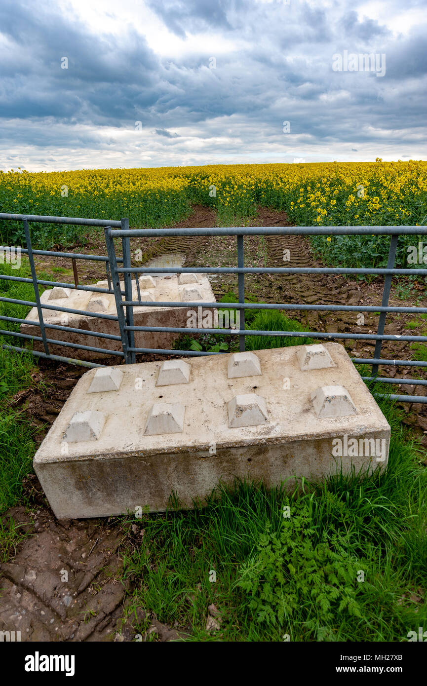 Block on the landscape, large concrete blocks looking like giant lego bricks, used by farmers to prevent unauthorised access to farmland by poachers Stock Photo