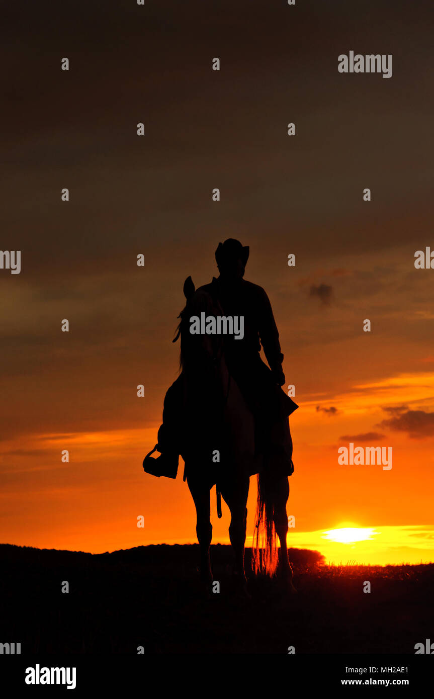 Black horse night male rider hi-res stock photography and images - Alamy