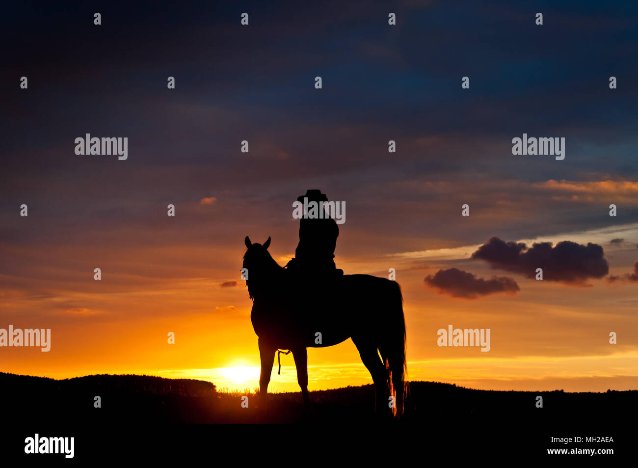 Rider with horse alone in the countryside, Horsemen on the side Stock