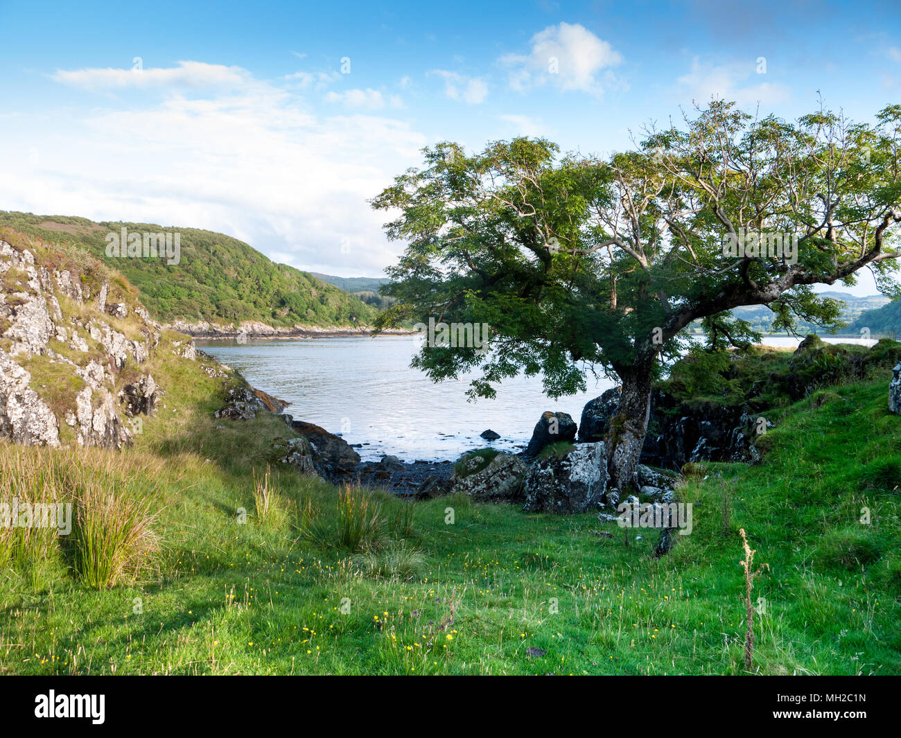 Coast of Loch Feochan from the cottage Tigh Beg, near Oban, Argyll and Bute, Scotland, UK Stock Photo