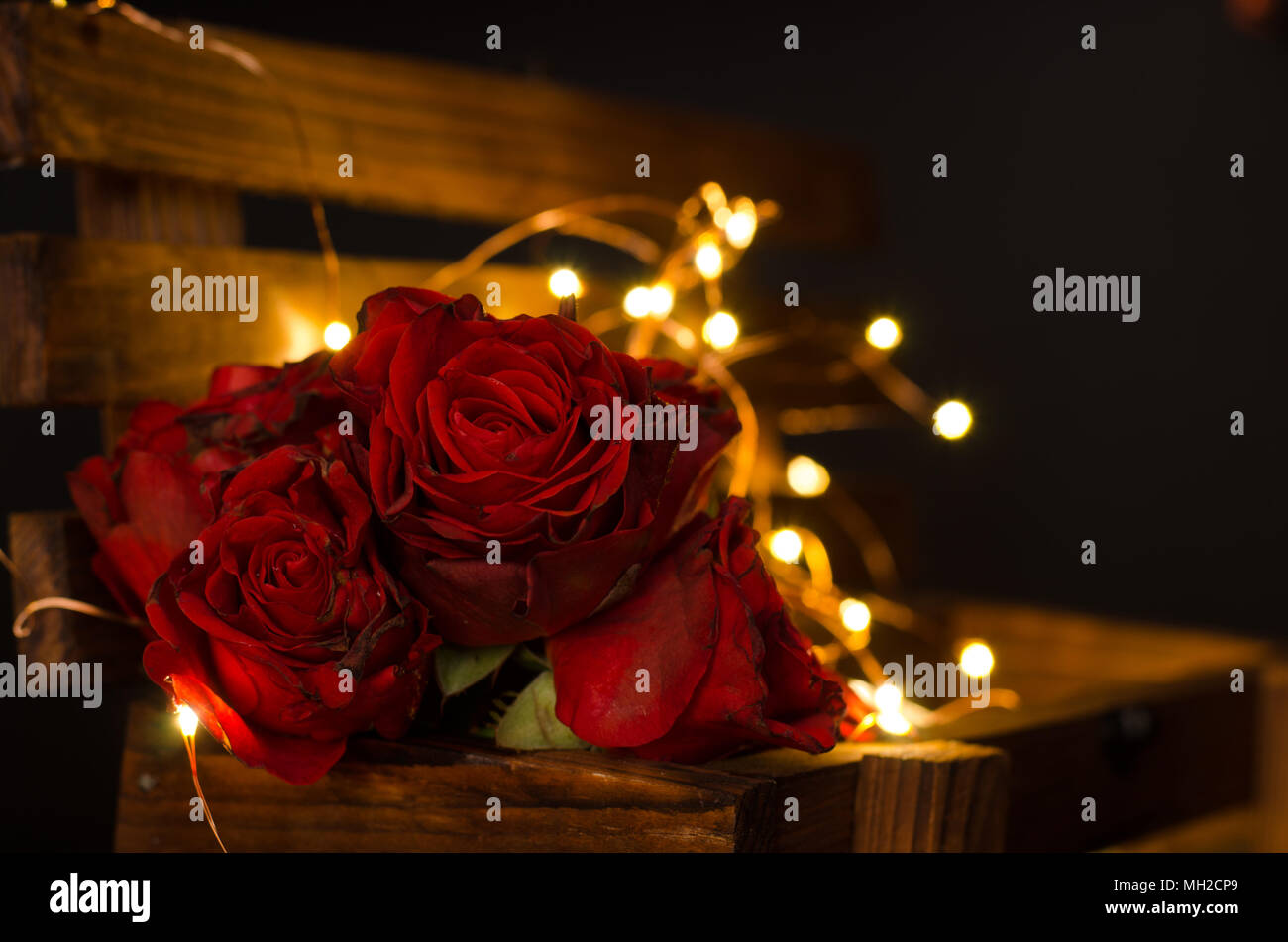 Red roses in the darkness Stock Photo - Alamy