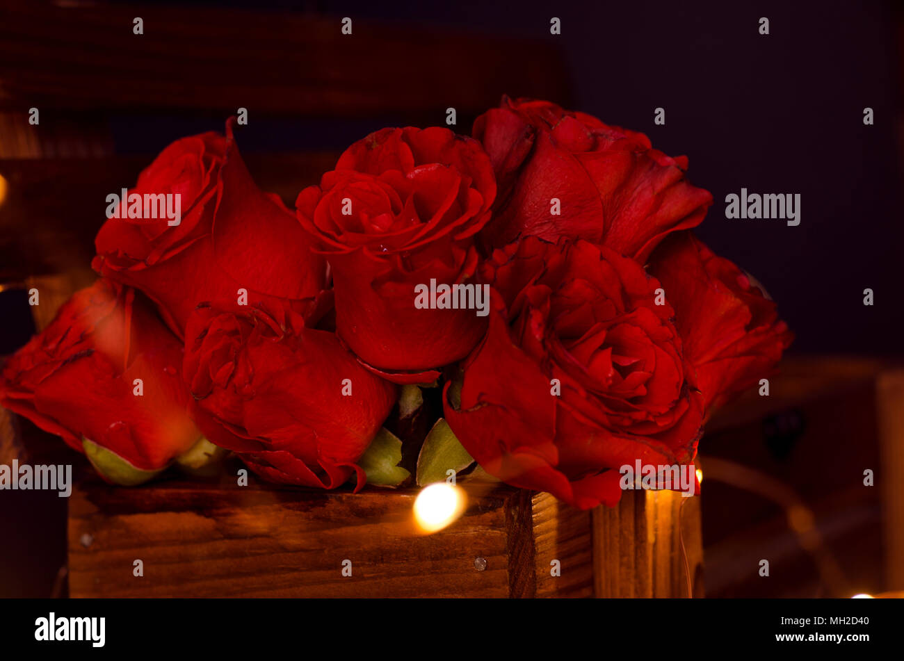 Red roses in the darkness Stock Photo - Alamy