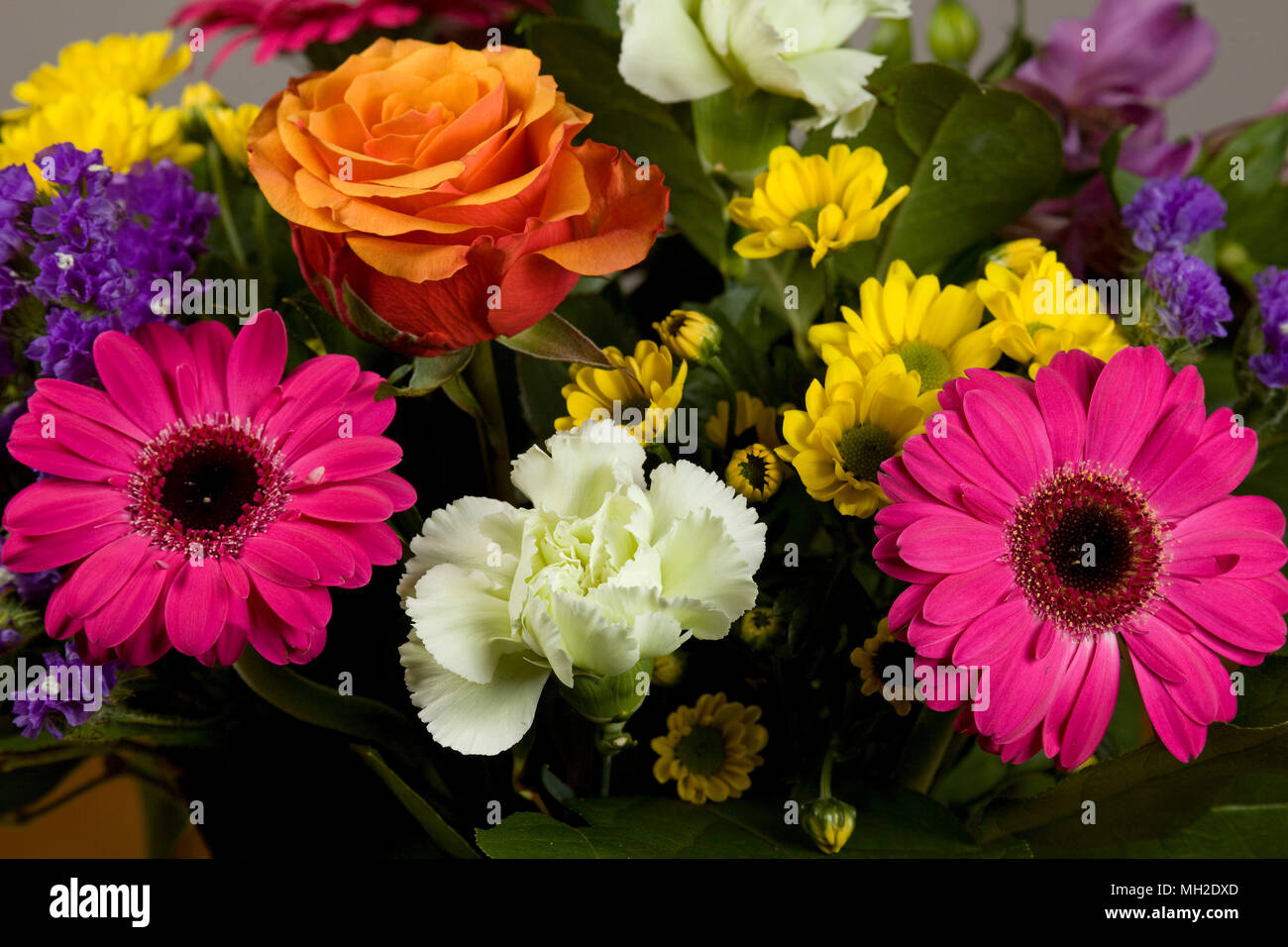 Received flowers hi-res stock photography and images - Alamy