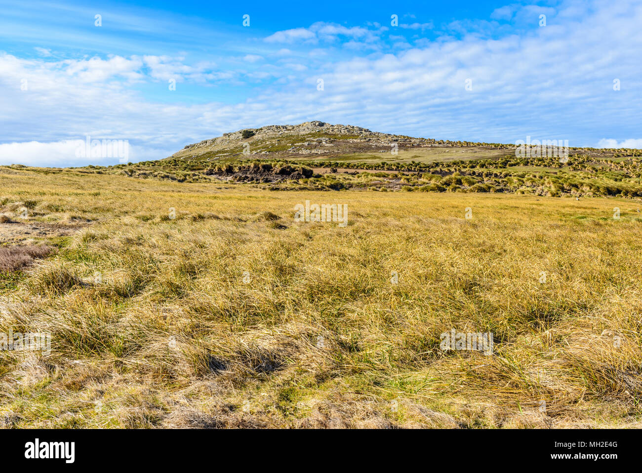 Nature of the Falkland Islands Stock Photo Alamy