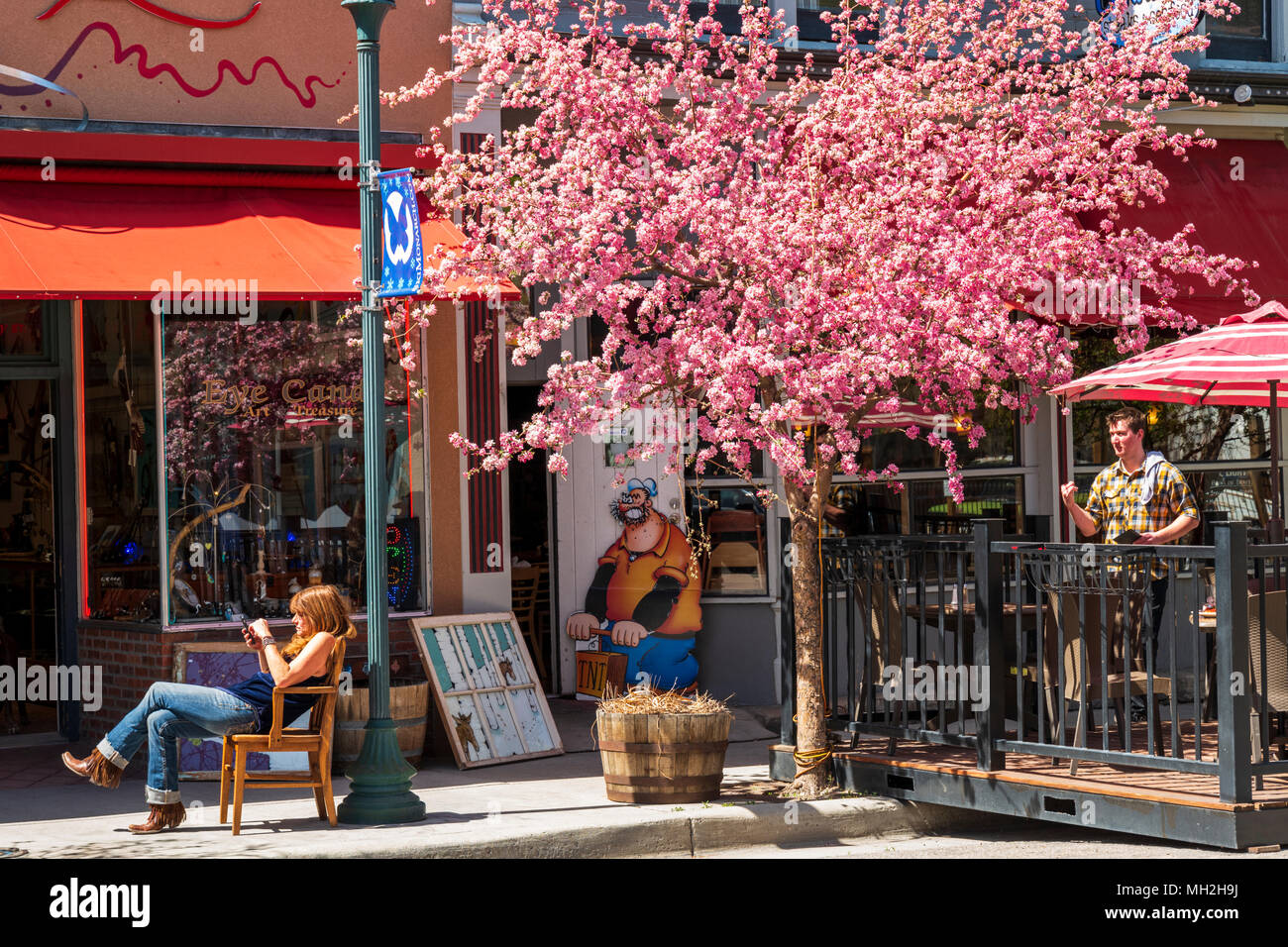 Proprietor of Eye Candy; retail shop; sits under Japanese cherry tree in full springtime bloom; Prunus serrulata; sakura; Salida; Colorado; USA Stock Photo