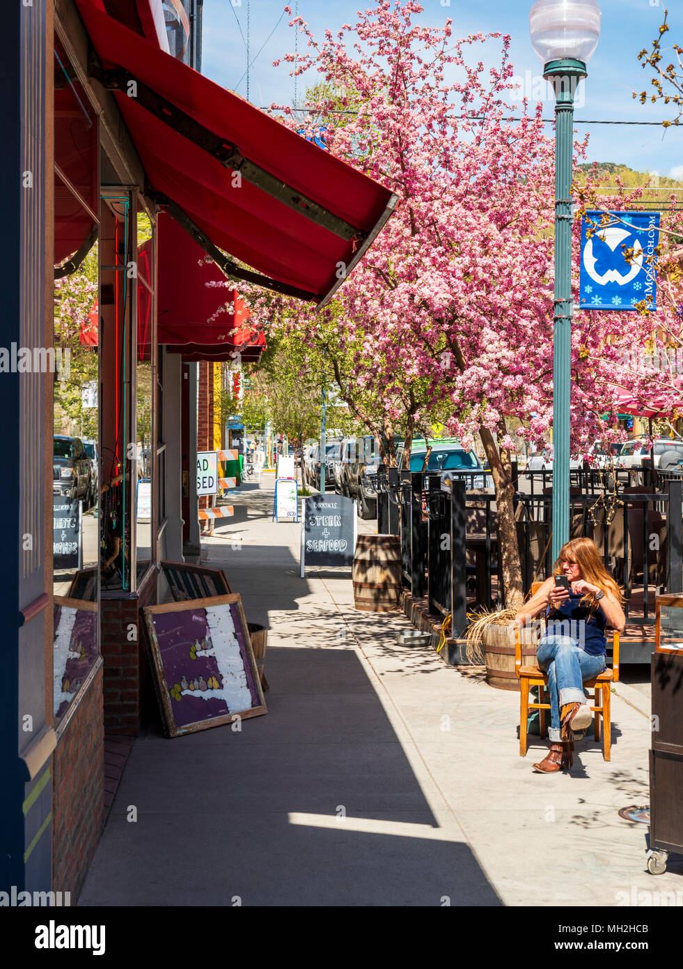 Proprietor of Eye Candy; retail shop; sits under Japanese cherry tree in full springtime bloom; Prunus serrulata; sakura; Salida; Colorado; USA Stock Photo