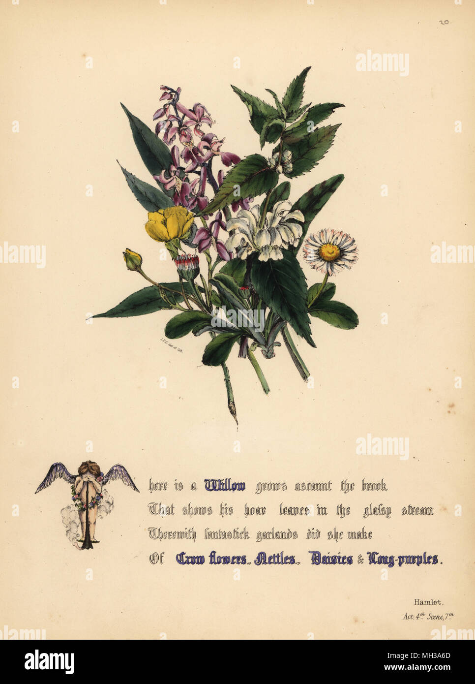 Willow, Crow flowers, Nettles, Daisies, and Long-purples (Hamlet). Handcoioured botanical illustration drawn and lithographed by Jane Elizabeth Giraud from The Flowers of Shakespeare, Day and Haghe, London, 1845. Stock Photo