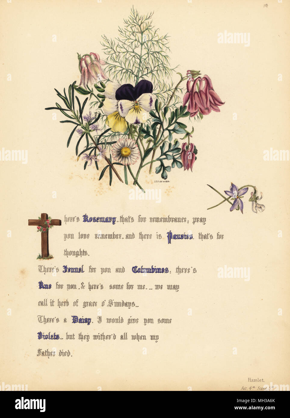 Rosemary, Pansies, Fennel, Columbines, Rue, Daisy and Violets (Hamlet