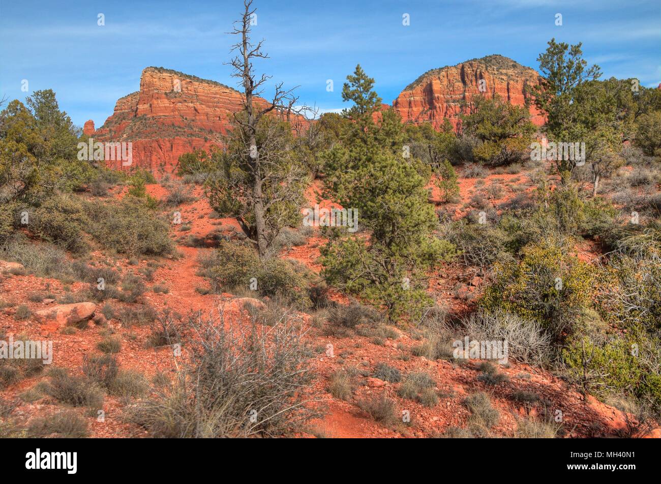 Sedona, Arizona has beautiful orange rocks and pillars in the desert ...