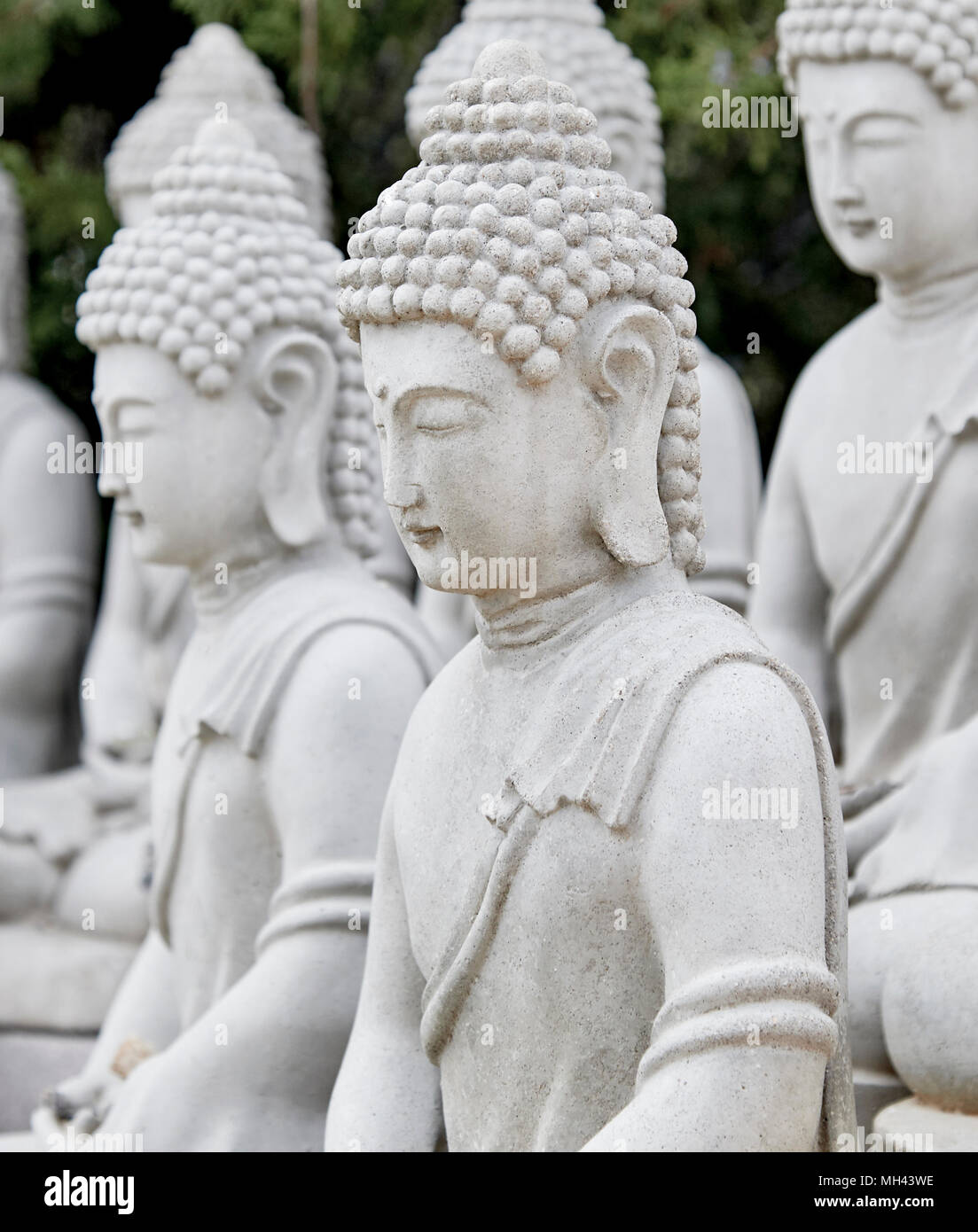 Buddhist Cement Statues in a row with shallow depth of field Stock