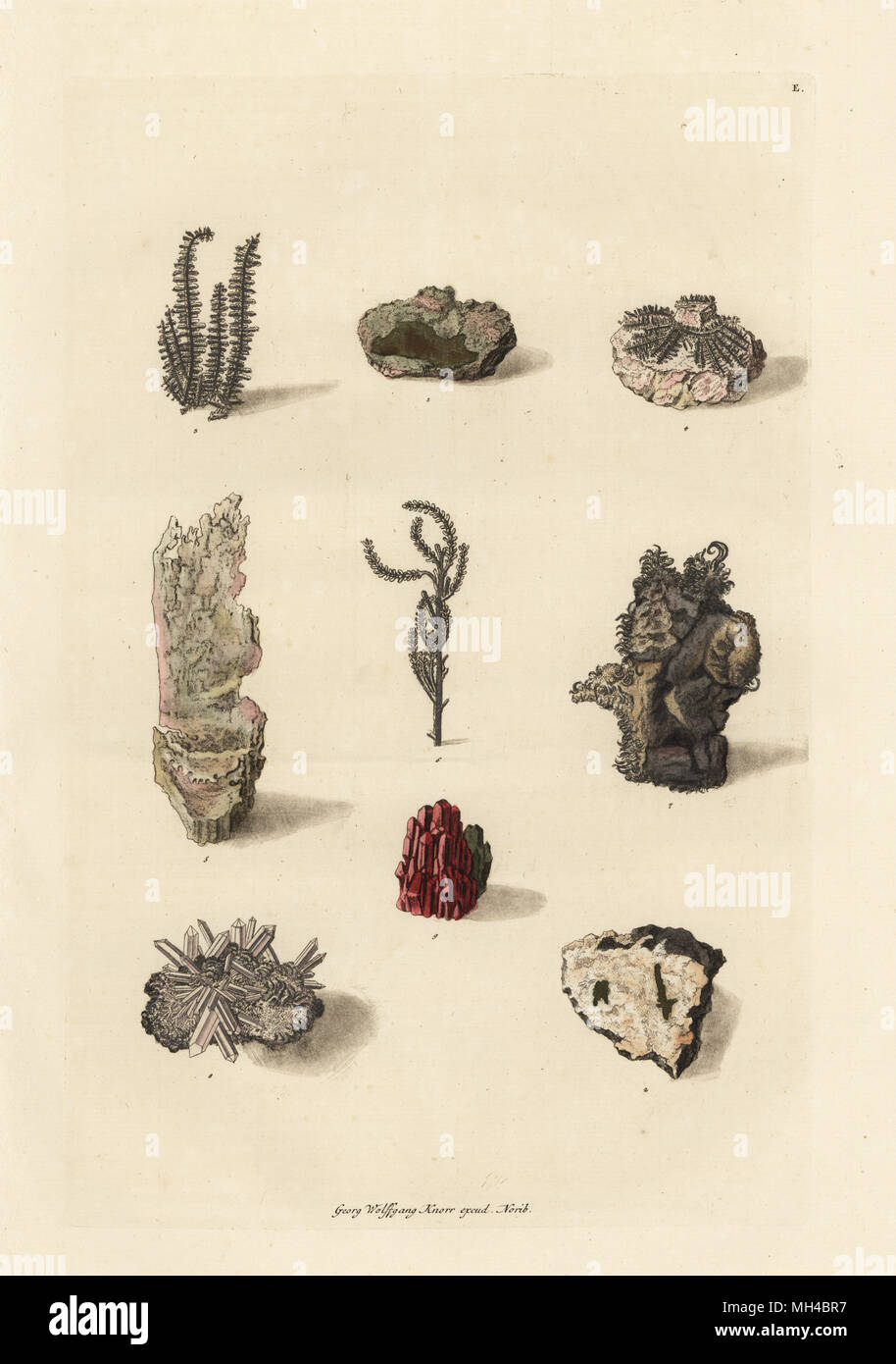 Varieties of gold and silver ores. Handcoloured copperplate drawn and engraved by Georg Wolfgang Knorr from his Deliciae Naturae Selectae of Kabinet van Zeldzaamheden der Natuur, Blusse and Son, Nuremberg, 1771. Stock Photo