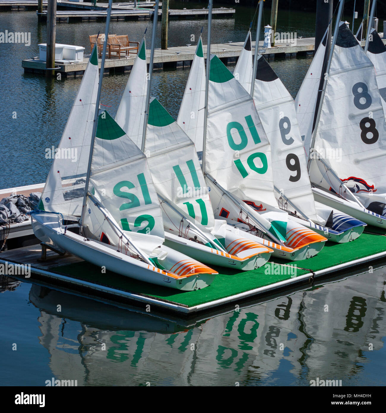 A fleet of ZForce C420 sailing dinghies sit docked at Marina Bay, in