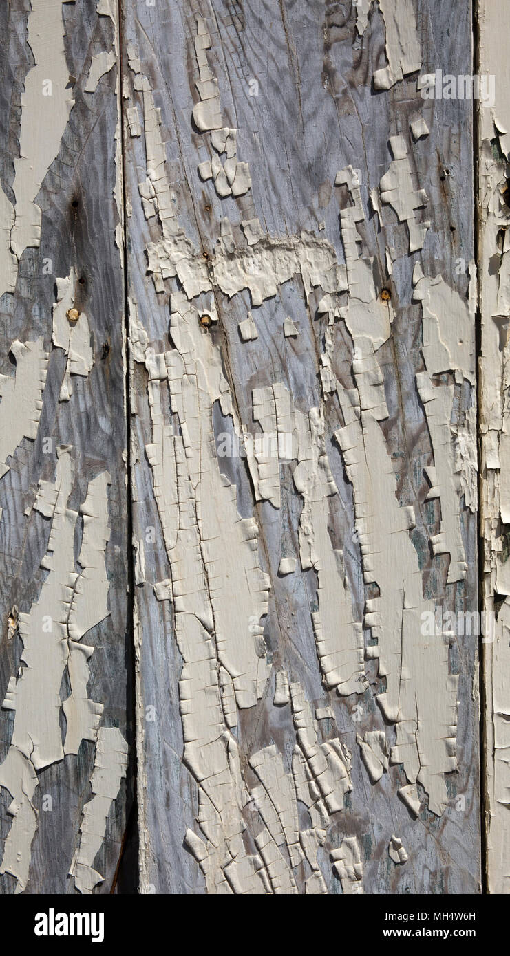 Cracked chipped paint on wooden boards Stock Photo Alamy