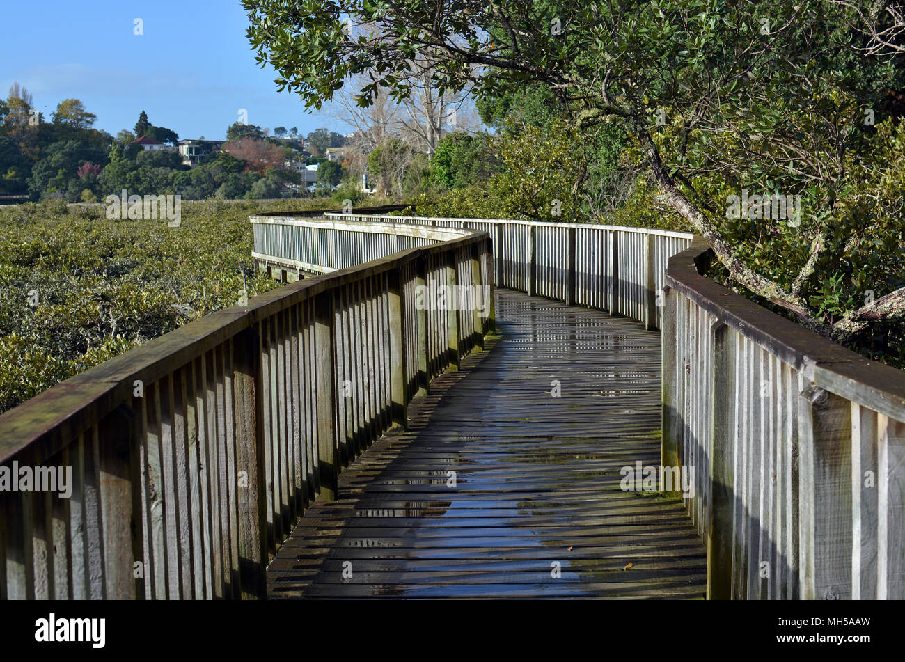 Remuera auckland hi-res stock photography and images - Alamy