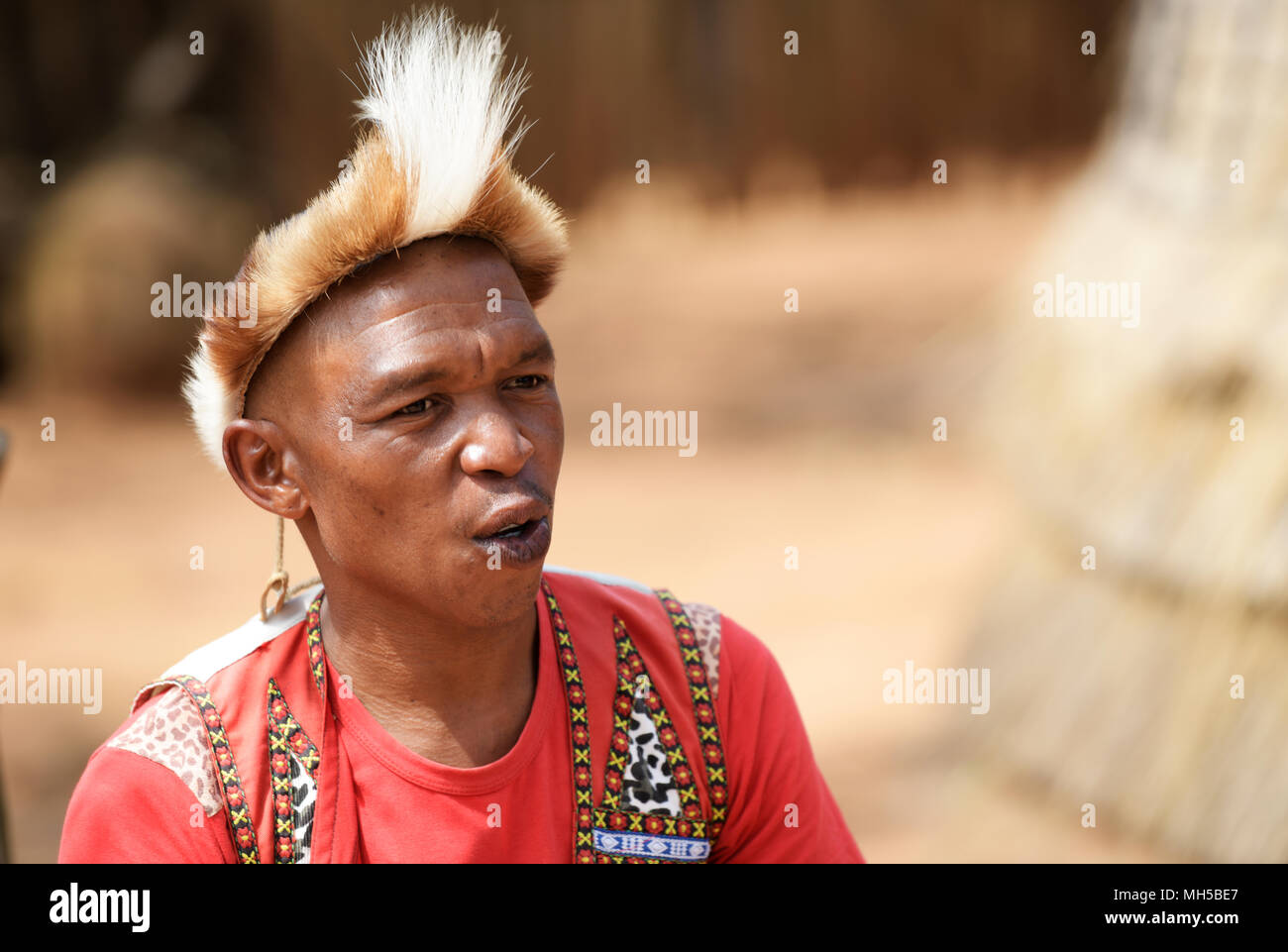 Eshowe, KwaZulu-Natal, South Africa, single adult man with traditional Zulu headband, presenting to tourists at Shakaland cultural theme village Stock Photo