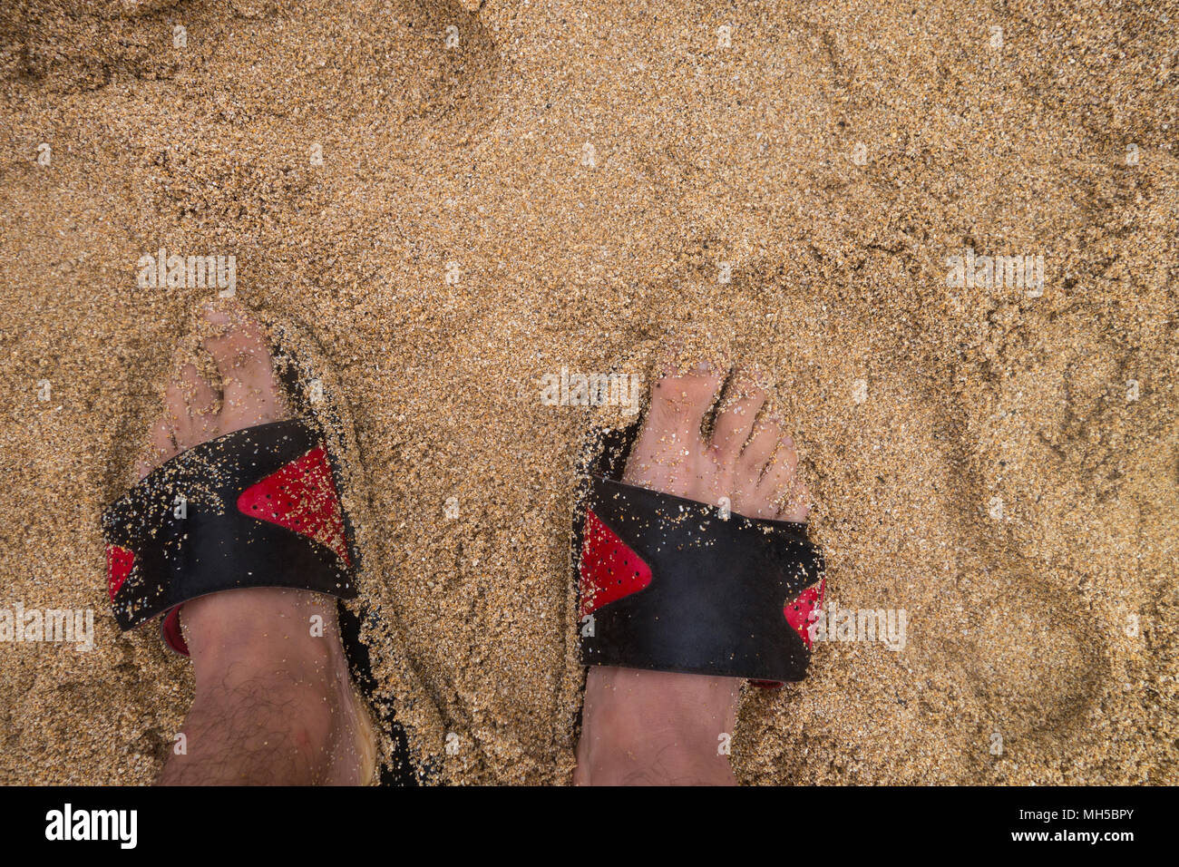 high angle view of man's feet with snadles on a sandy wet beach Stock Photo