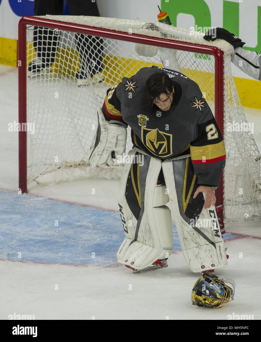 Our first look! : r/goldenknights