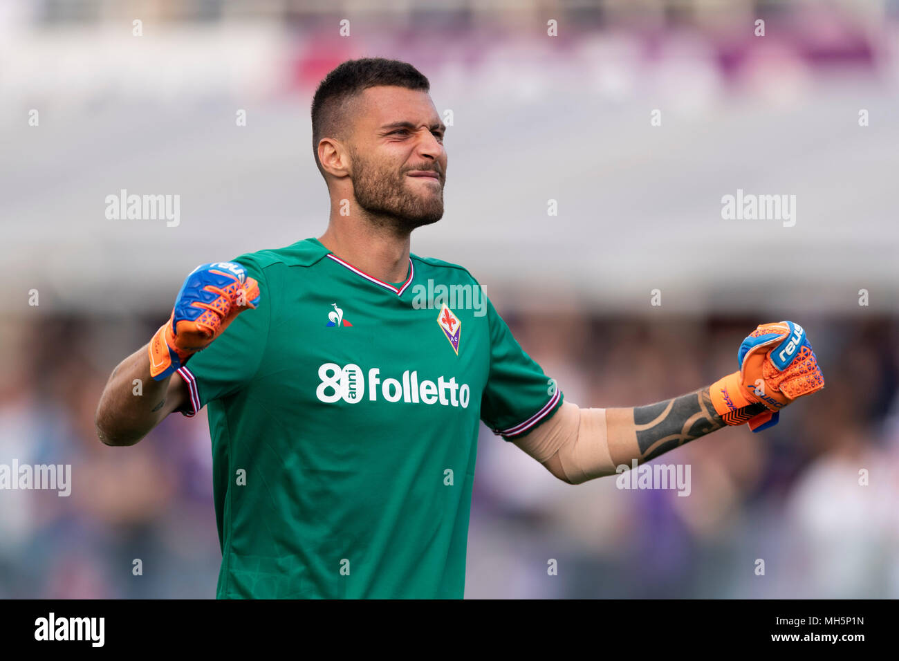 Marco Sportiello of Fiorentina celebrates after scoring his team's first  goal during the Italian "Serie A" match between Fiorentina 3-0 Napoli at  Artemio Franchi Stadium on April 29, 2018 in Firenze, Italy.
