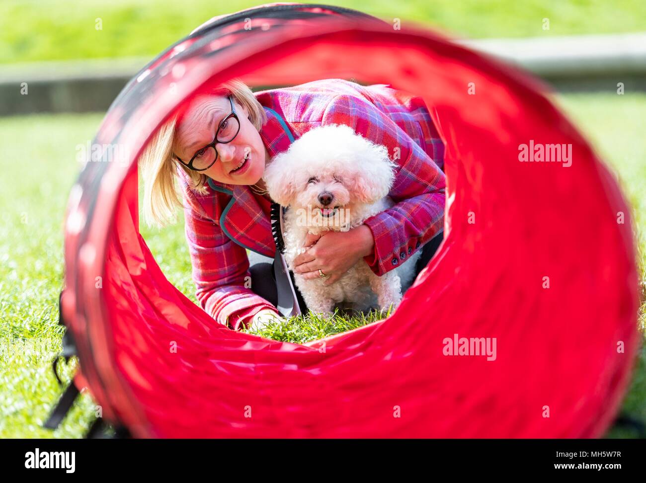 Page 7 - Kennel Of The Year High Resolution Stock Photography and Images -  Alamy