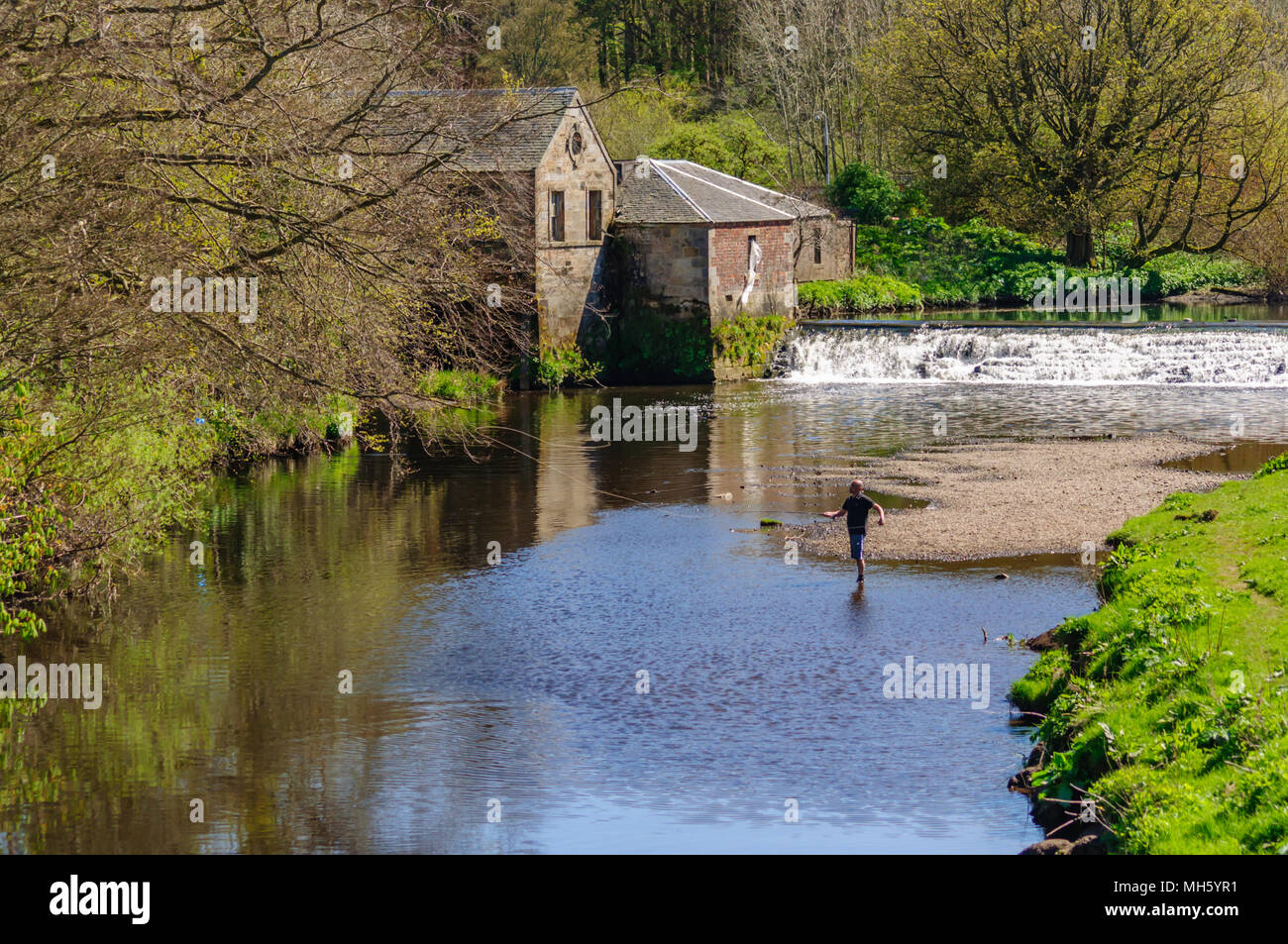 Pollok park glasgow spring hires stock photography and images Alamy