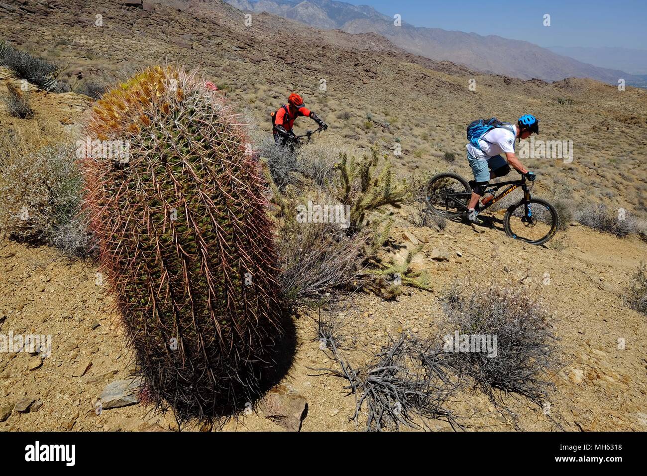 Palm Springs, California, USA. 28th Apr, 2018. Mountain bikers pass huge cactus and rocks on the trail. This is a true Southern California Epic mountain bike ride in the Santa Rosa and San Jacinto Mountains National Monument. Offering huge vistas, off-camber narrow single track, ridges, stream beds, rocks, sand, cactus. This point-to-point route passes a varied array of high desert trails from the foot of the north slope of Santa Rosa Mountains and Agua Caliente Indian Reservation at 4500 feet down to Palm Springs 29 miles away at 500 feet. Credit: Ruaridh Stewart/ZUMA Wire/Alamy Live News Stock Photo