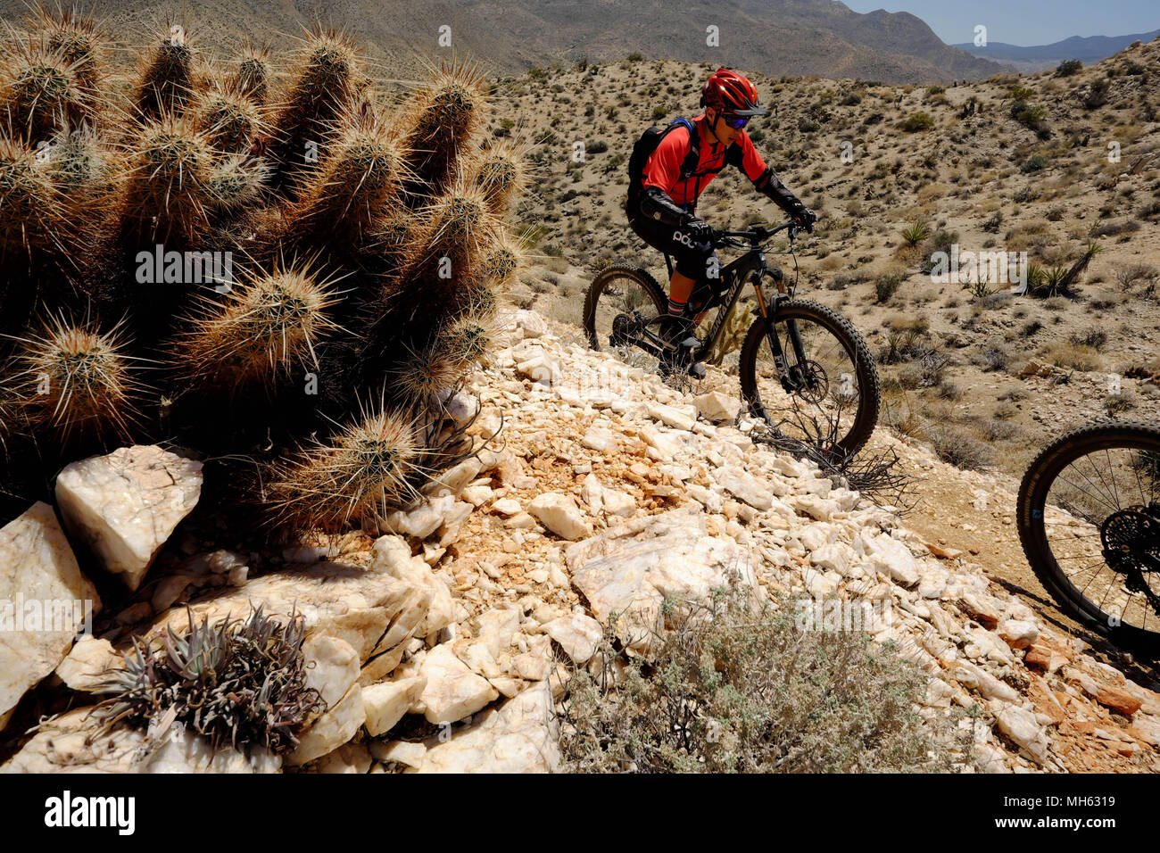 Palm Springs, California, USA. 28th Apr, 2018. Mountain bikers pass cactus and white quartz rocks on the trail. This is a true Southern California Epic mountain bike ride in the Santa Rosa and San Jacinto Mountains National Monument. Offering huge vistas, off-camber narrow single track, ridges, stream beds, rocks, sand, cactus. This point-to-point route passes a varied array of high desert trails from the foot of the north slope of Santa Rosa Mountains and Agua Caliente Indian Reservation at 4500 feet down to Palm Springs 29 miles away at 500 feet. (Credit Image: © Ruaridh Stewart via ZUMA Wi Stock Photo