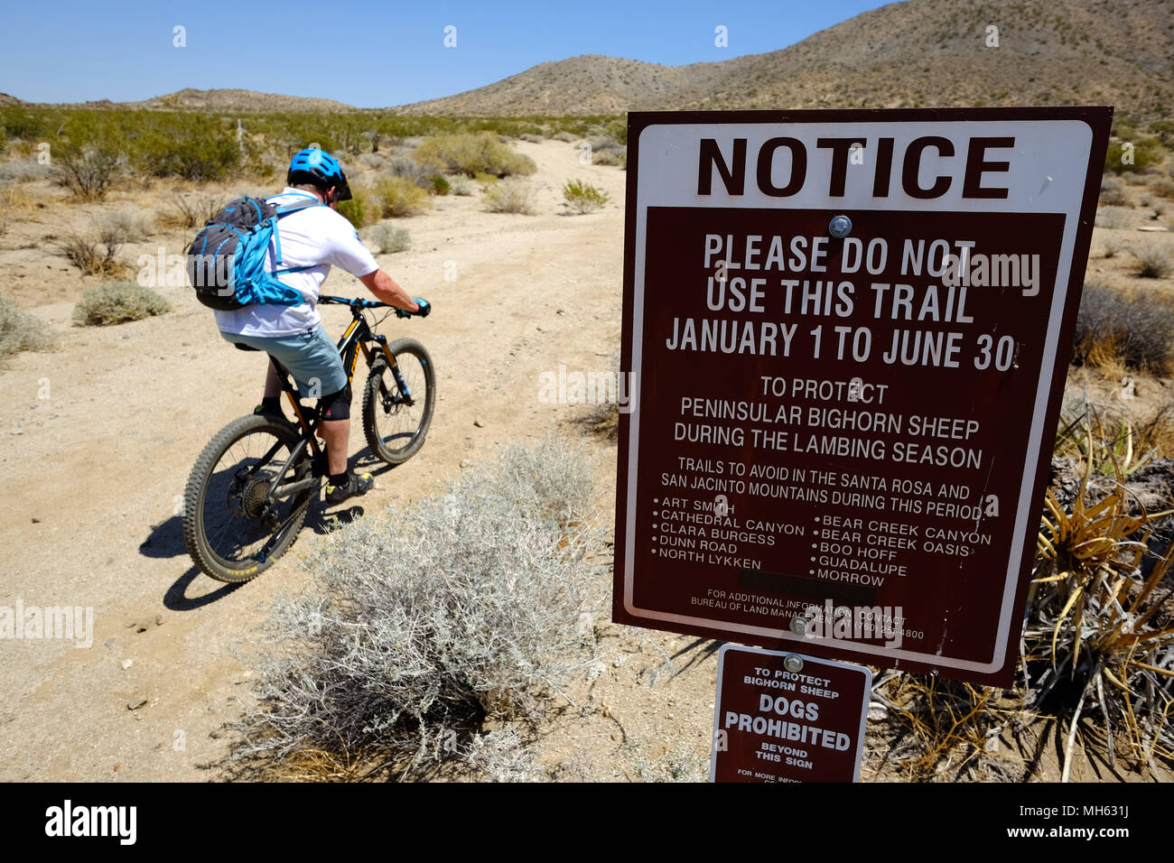 horns high mountain biking