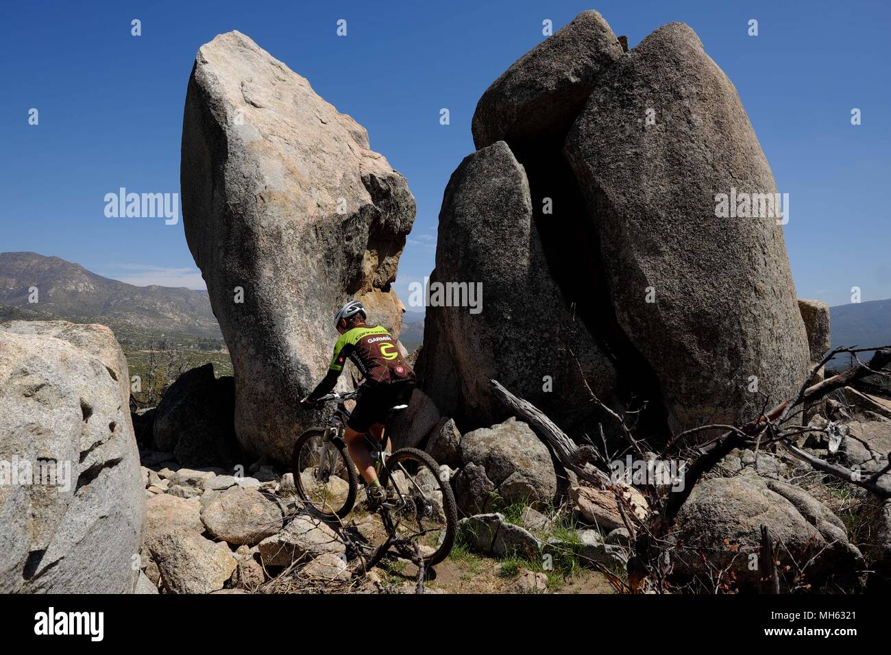 Idyllwild, California, USA. 29th Apr, 2018. Mountain biker rides steep trails past wildflowers, huge granite rock slabs and pine tress at elevations above 6,500ft high above the desert floor near Idyllwild in the San Jacinto Mountains. Rising abruptly from the desert floor, the Santa Rosa and San Jacinto Mountains National Monument reaches an elevation of 10,834 feet, the northernmost of the Peninsular Ranges system. Many flora and fauna species within the national monument are state and federal listed threatened or endangered species, including the Peninsular Bighorn Sheep (Ovis canadensis c Stock Photo