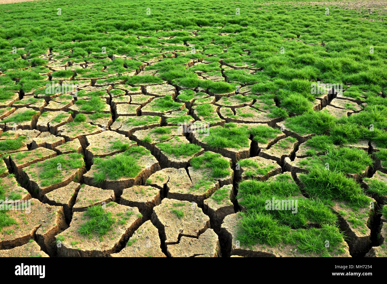 Crack And Drought Land Stock Photo Alamy
