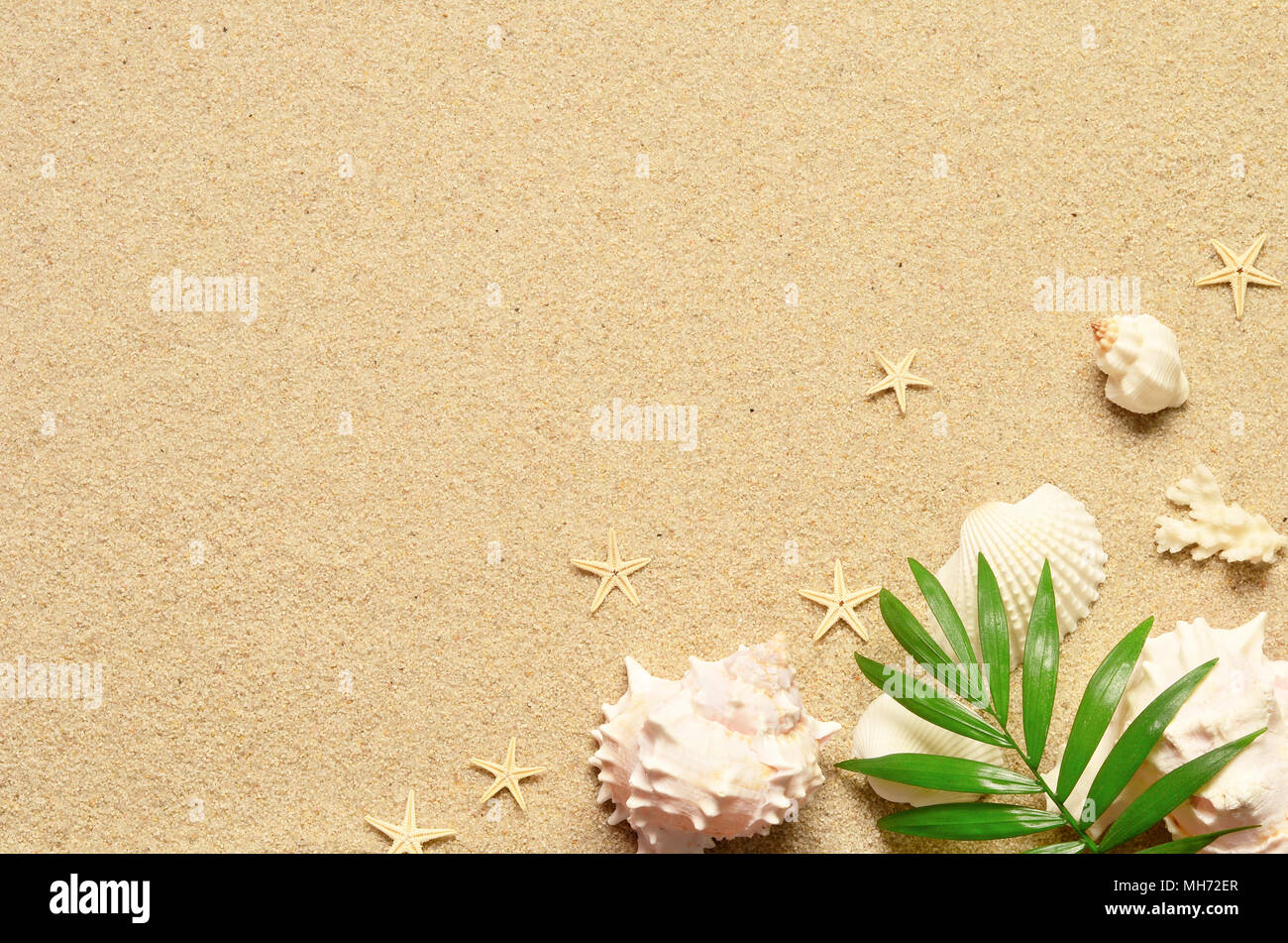 Sea sand with starfish and shells. Top view with copy space. Summer ...