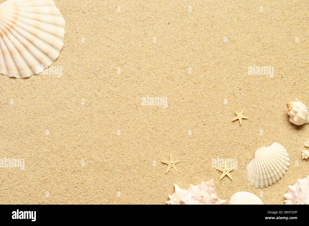 Sea sand with starfish and shells. Top view with copy space. Summer ...