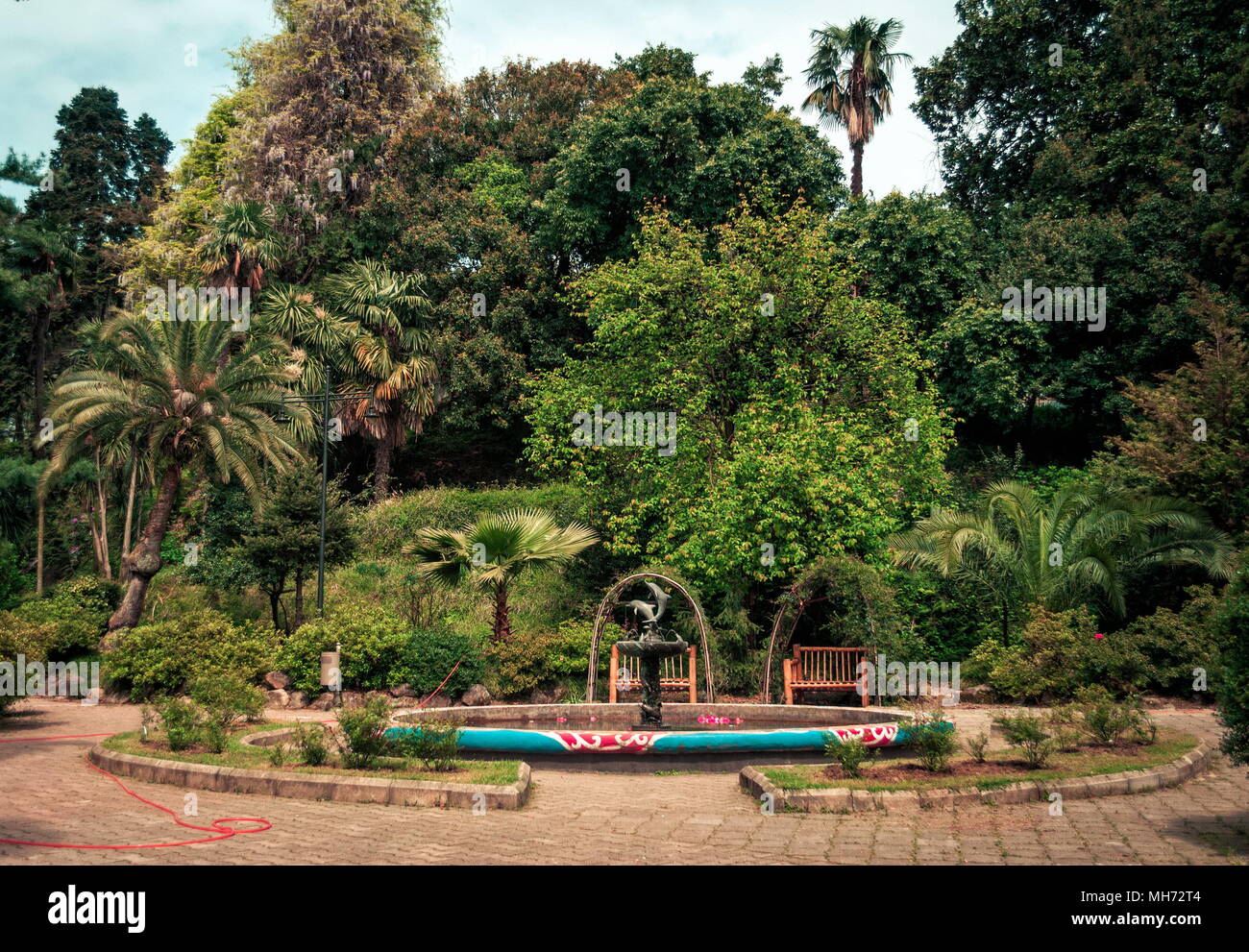 Botanical gardens in Batumi.Georgia Stock Photo