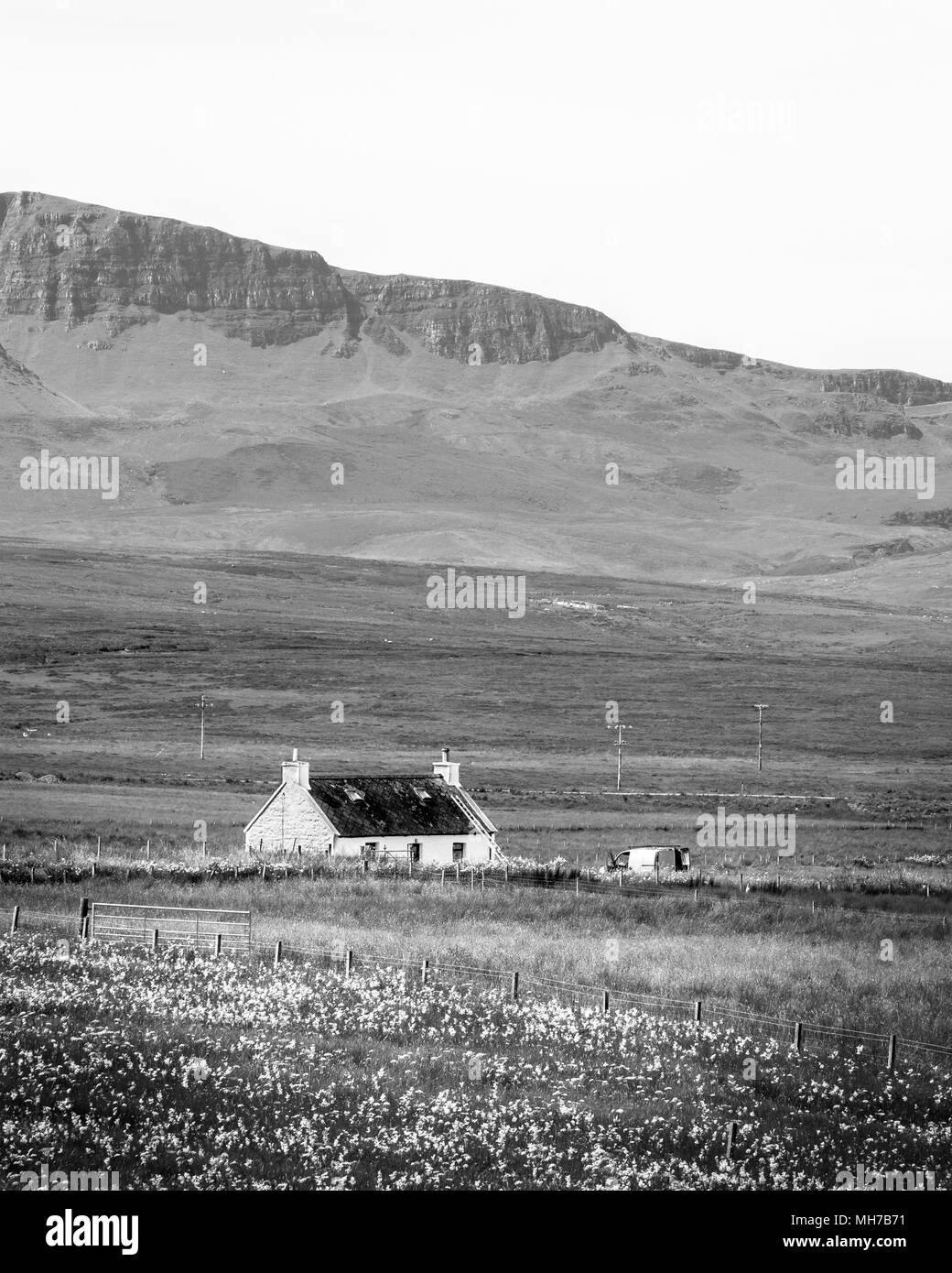 Lush green rural landscape Black and White Stock Photos & Images - Alamy
