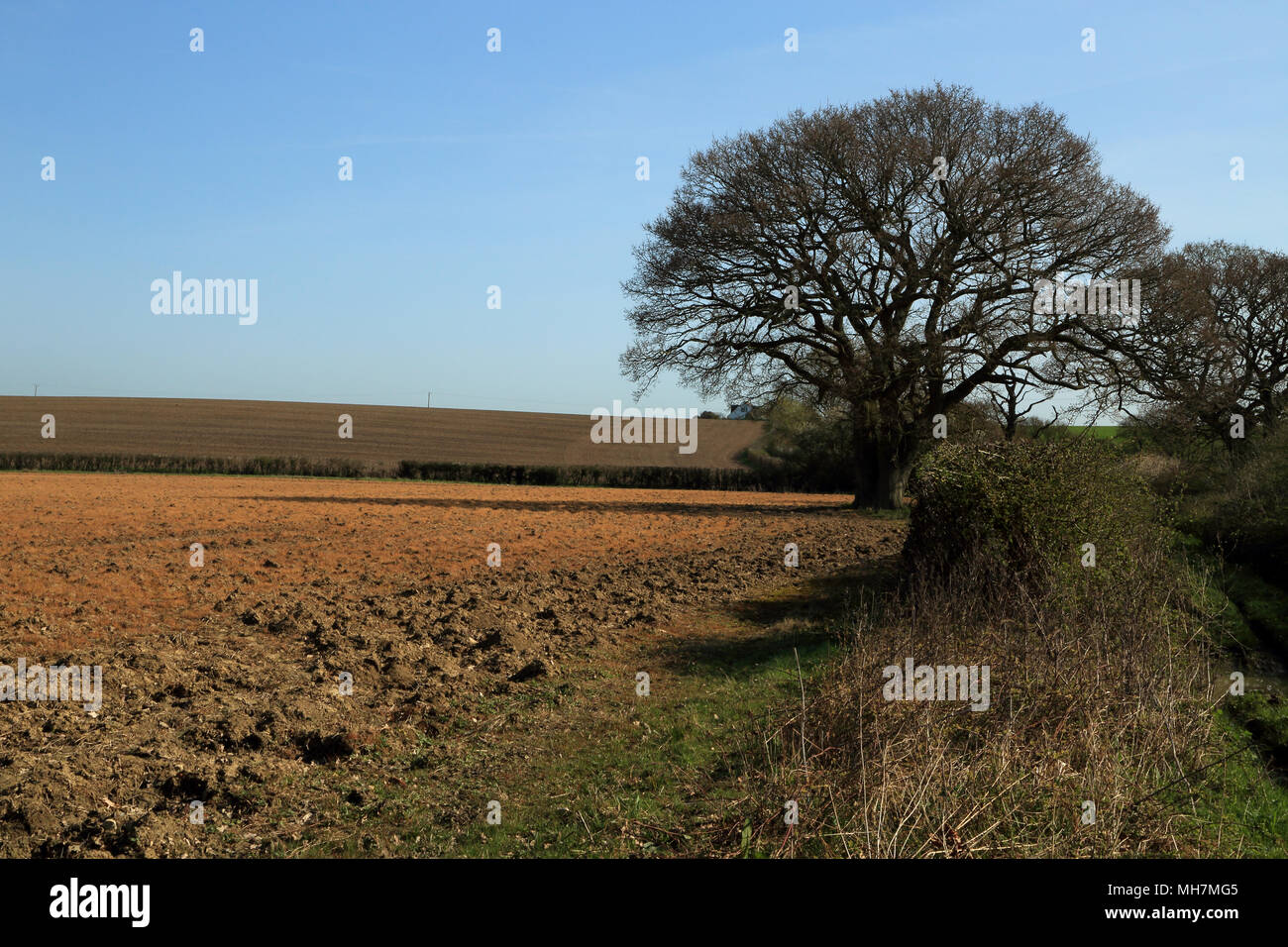 ploughed field from Rocky Bourne Road, Aldington, Kent, United Kingdom Stock Photo