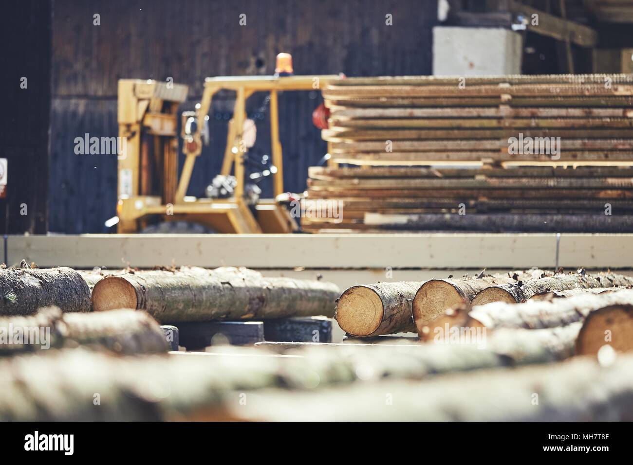 Lumber industry. Stack of the timber at the sawmill. Stock Photo