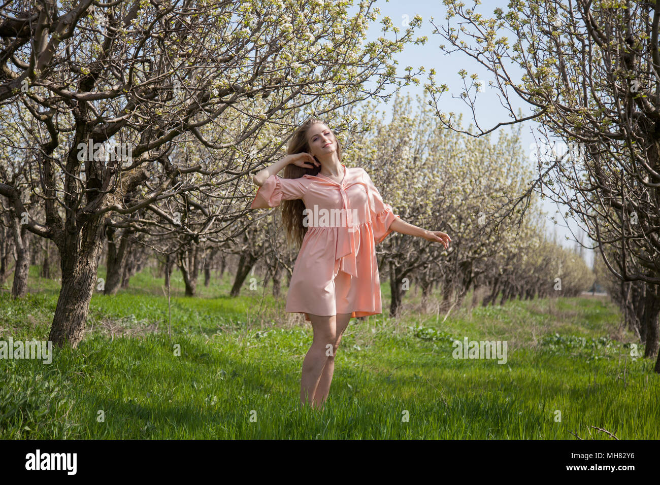blonde woman in pink dress walks by a blooming garden in spring Stock ...