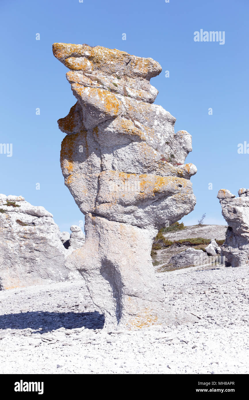 Sea stack eroded by hydraulic action  in Langhammars rauk area at Faro in the Swedish province of Gotland. Stock Photo