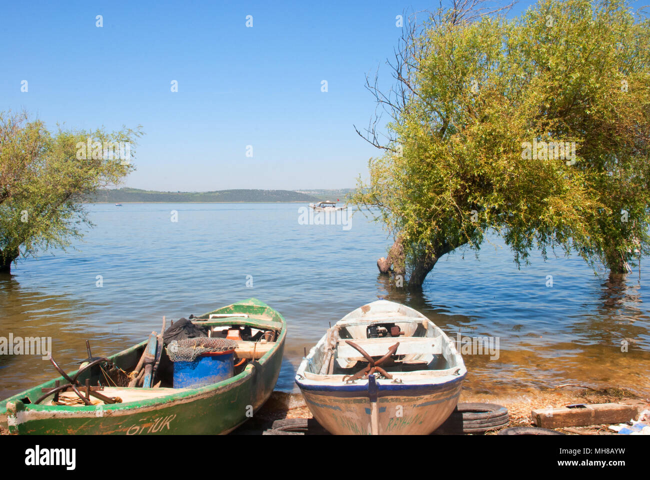Submerged Trees High Resolution Stock Photography and Images - Alamy