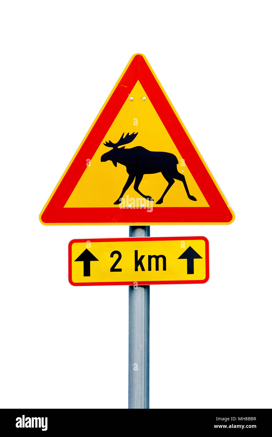 Finnish moose warning road sign on white background. Additional pannel indicates danger for the next 2 km. Stock Photo