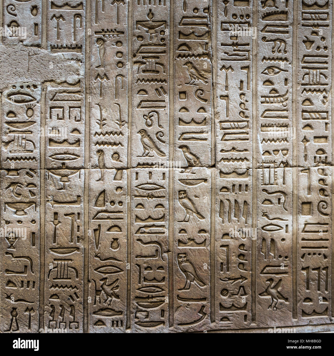 well-preserved-ancient-real-egyptian-hieroglyphs-on-the-wall-in-a