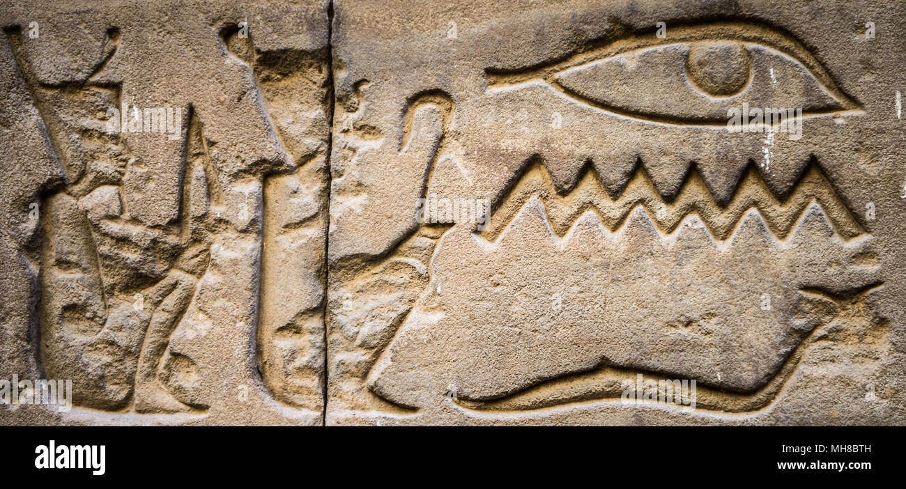 Egyptian hieroglyphs on the wall in a temple Stock Photo - Alamy