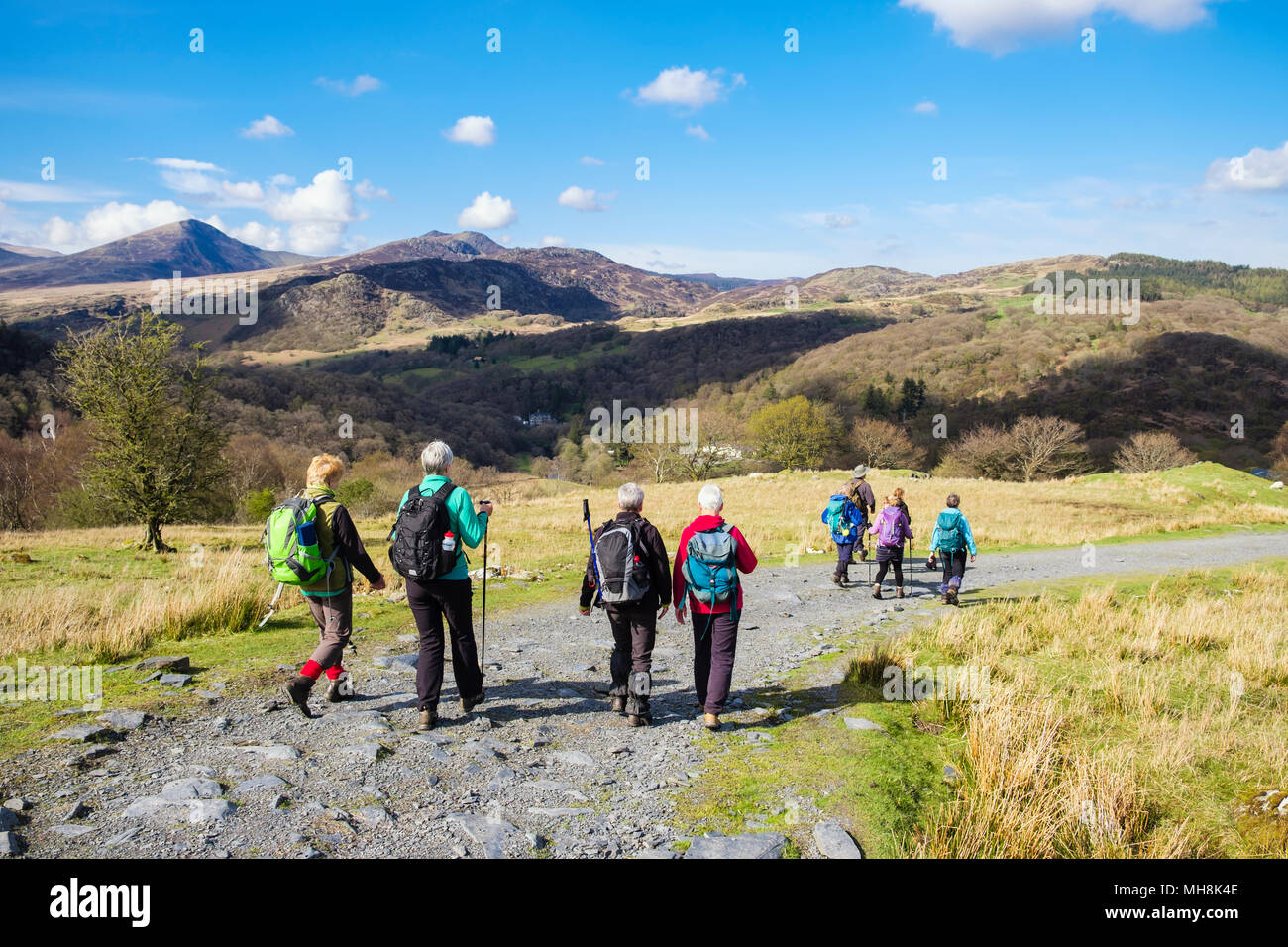 Hikers hiking down on a country track through countryside from Moel Siabod in mountains of Snowdonia National Park. Capel Curig, Wales, UK, Britain Stock Photo