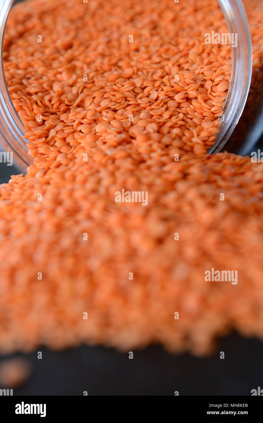 Red lentils in a storage jar Stock Photo Alamy