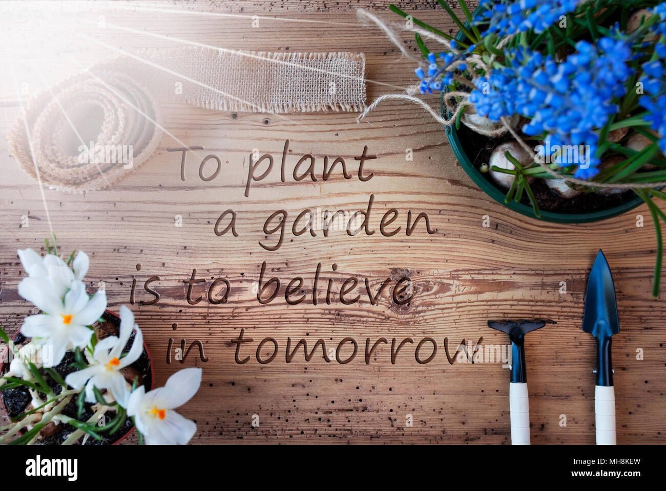 Sunny Spring Flowers Quote Plant A Garden Believe In Tomorrow Stock Photo Alamy