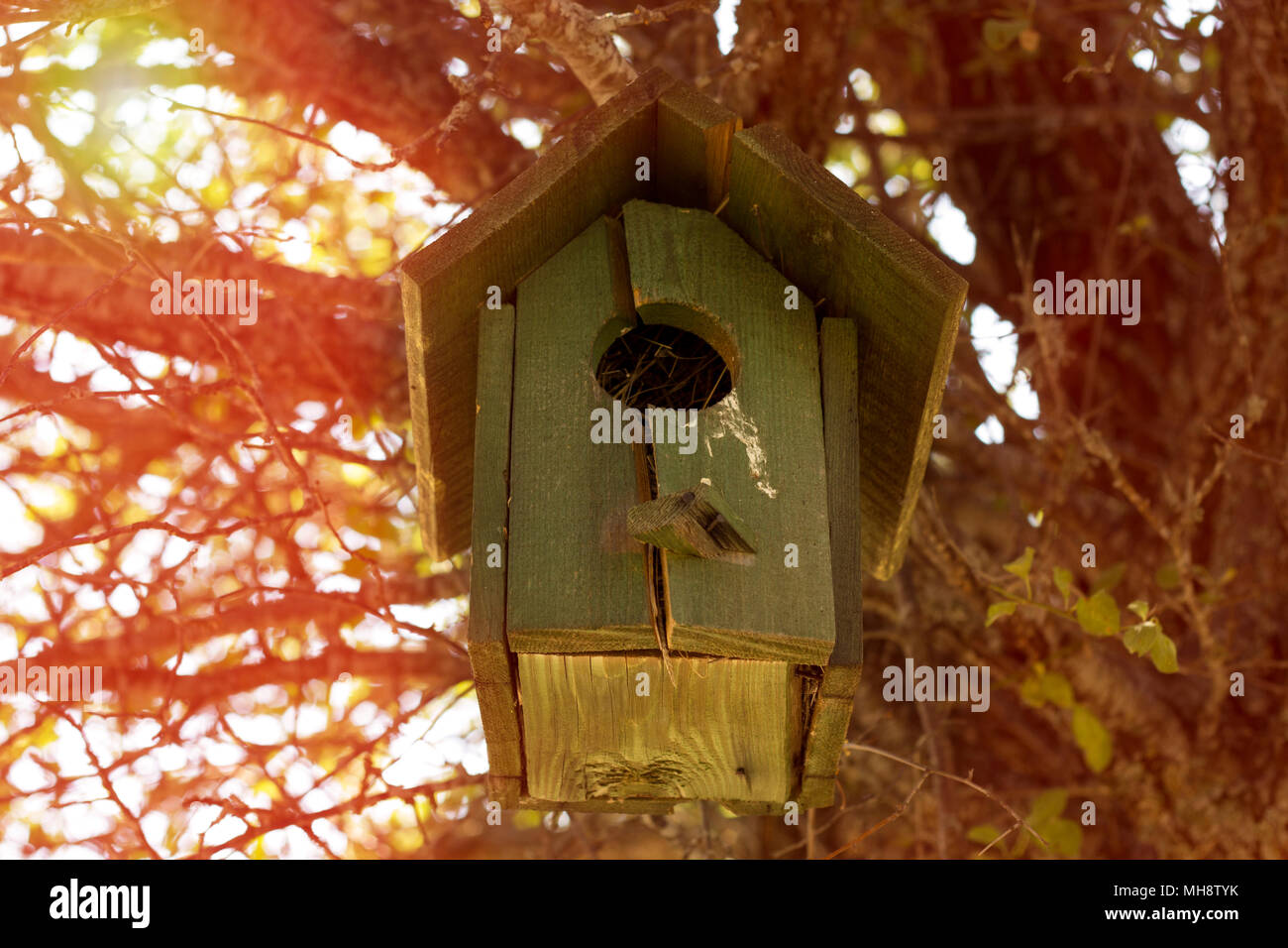 small bird house on a tree. It was produced from wooden parts. there are some birds inside it in to the wild Stock Photo