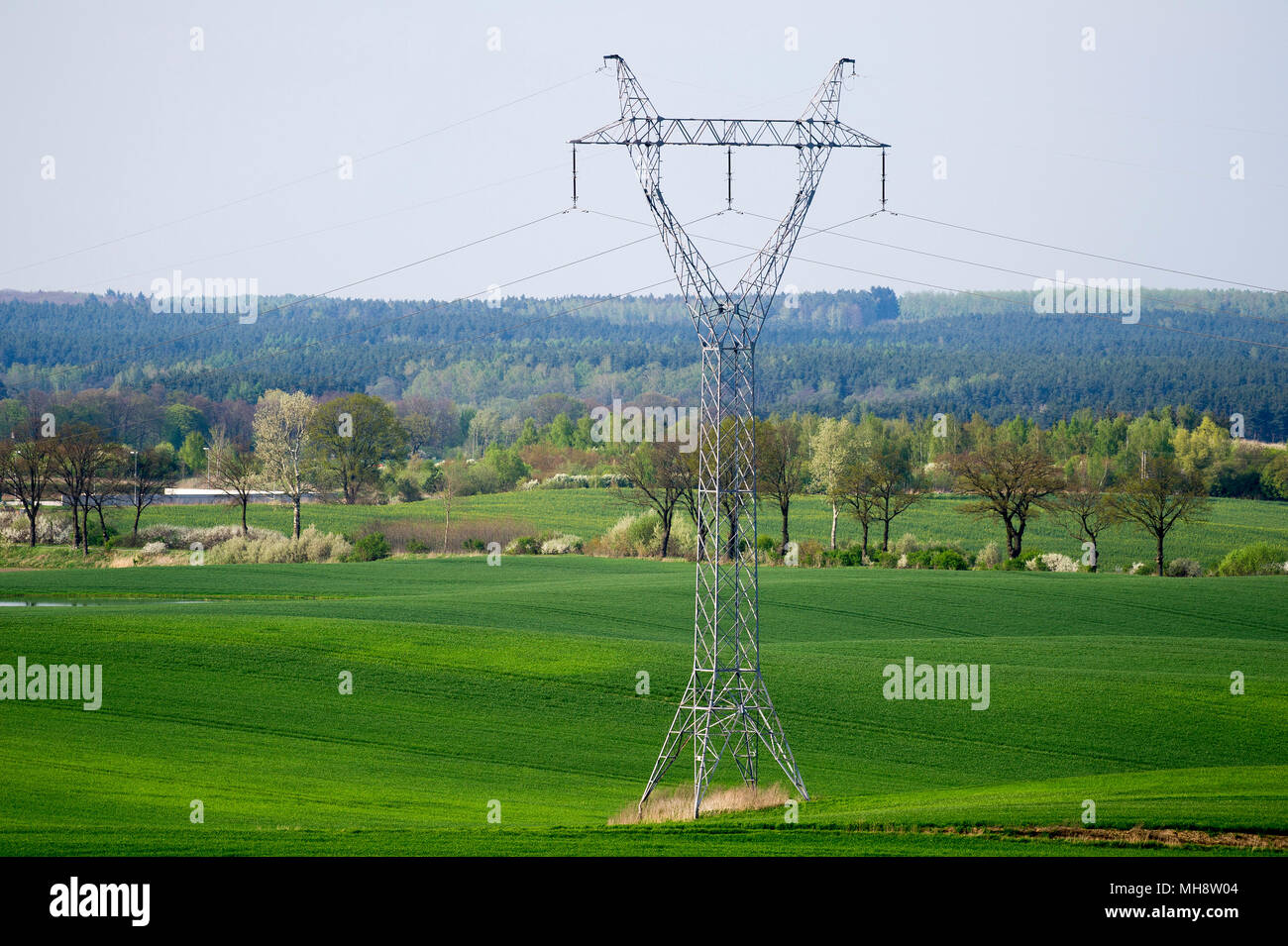 High voltage power lines in Pelplin, Poland April 28th 2018 © Wojciech