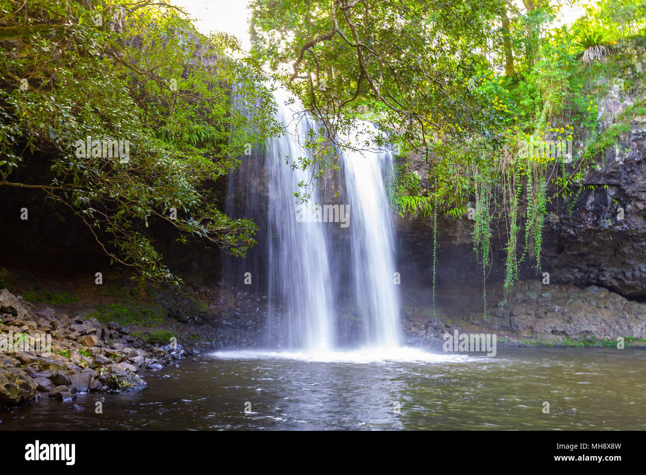 Killen Falls - beautiful waterfall near Byron Bay, New South Wales, Australia Stock Photo