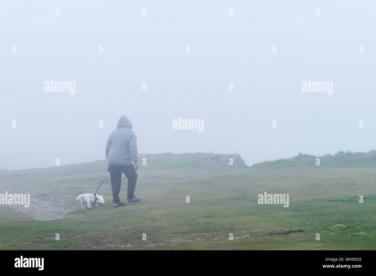 UK weather - a dog walker on East Pentire Headland in thick sea mist. Stock Photo