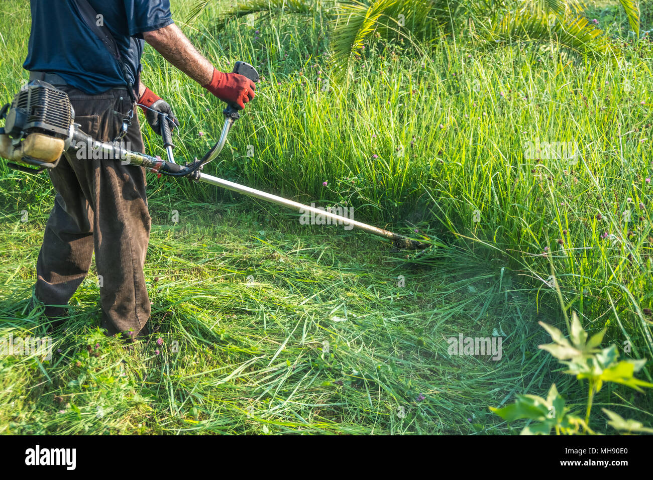 The gardener cutting grass by lawn mower Stock Photo Alamy